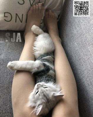 久草性爱视频_国产剧在线观看完整版